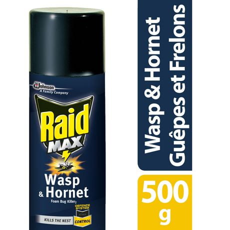 Mousse insecticide Raid contre les guêpes et les frelons, tue les insectes au contact, pour utilisation à l’extérieur, 500 g