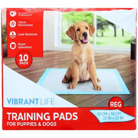 Vibrant Life Dog Pee Pads and Puppy Training Pads – 'L (56*56cm)', Multiple Pack Sizes Available