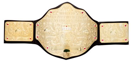 WWE World Heavyweight Championship Belt | Walmart.ca