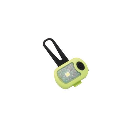 Coastal Clignotant USB Collier de chien