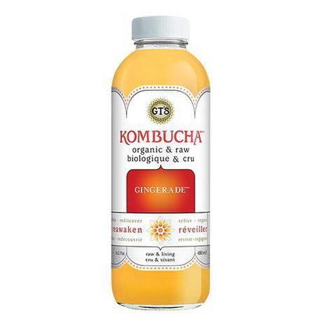 GT KOMBUCHA Gingerade 480ml - biologique et cru