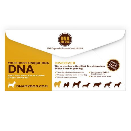 Test d'identification de Race Canine.
