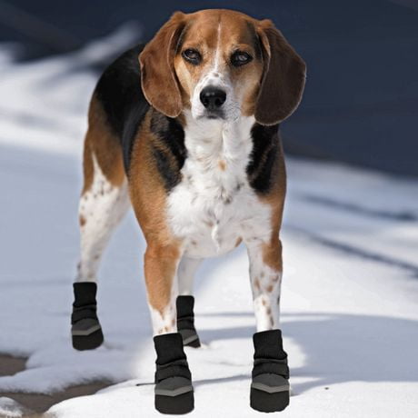 dog boots for beagles