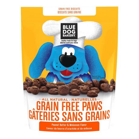 blue dog bakery pumpkin