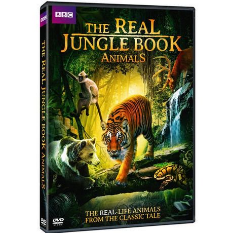 The Real Jungle Book Animals | Walmart Canada