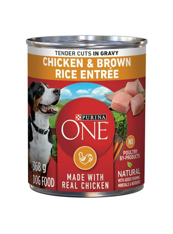 Purina ONE Tender Cuts in Gravy Chicken & Brown Rice Entrée, Wet Dog Food 368 g, 368 g