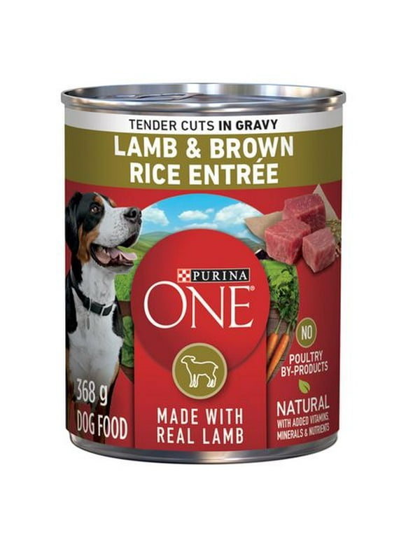 Purina ONE Tender Cuts in Gravy Lamb & Brown Rice Entrée, Wet Dog Food 368 g, 368 g