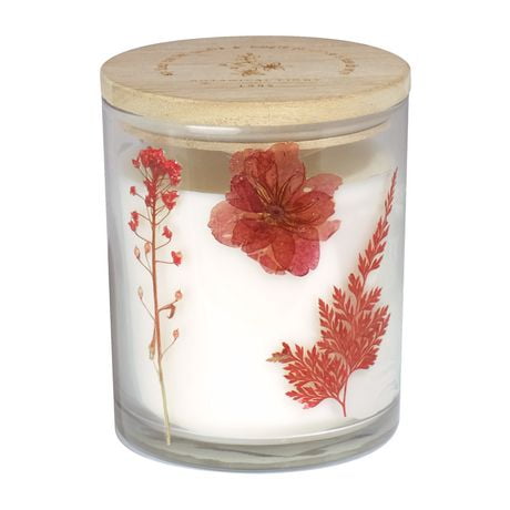 Botanical Light 11.2oz Cottage Rose Soy Wax Blended Scented Candle, · 11.2oz<br>· 320g<br>· pack # 1