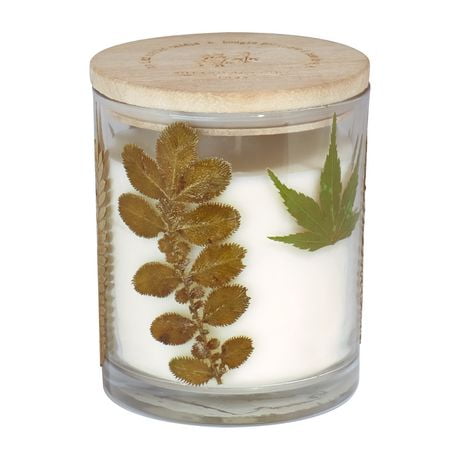 Botanical Light 11.2oz Autumn Leaves Soy Wax Blended Scented Candle, · 11.2oz<br>· 320g<br>· pack # 1