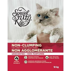 litiere chat walmart