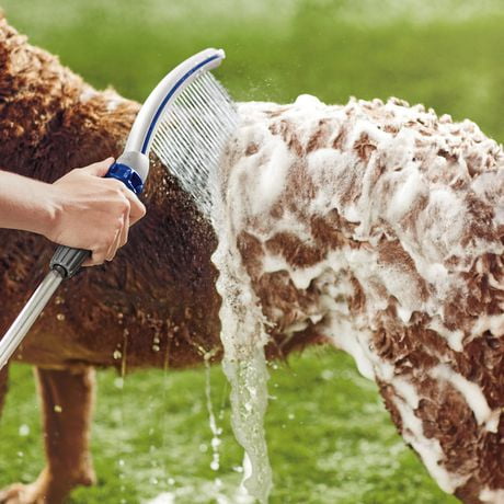 Accessoire de Douchette pour chien de la Douchette pour animaux 