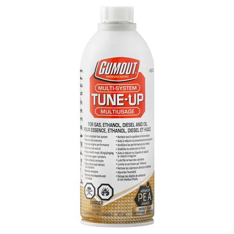 Gumout Multi-System Tune-up, Cleans complete fuel system