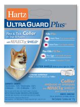 Hartz UltraGuard Plus Flea & Tick Collier antipuces et antitiques pour chiens et chatons