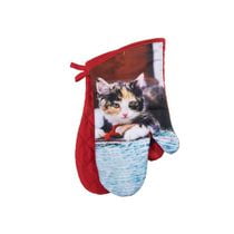 Four Moufles (2 Pièces) (Kitten Playing Toy) - Set of 2