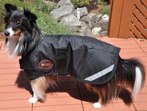 Manteau de chien thérapeutique Vet Therapy pour grands chiens