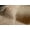 TAN & WHITE, variant on H-Natural Calfskin Rug