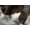 CHOCOLATE & WHITE, variant on H-Natural Kobe Cowhide 6'X7' Rug