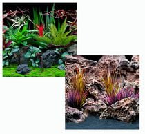 aquarium backgrounds canada