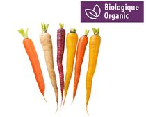 Carrots, Rainbow Organic