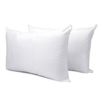 walmart jumbo pillow
