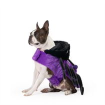One Paw, Spider Halloween Dog Costume, Fun and Comfortable, Multiple sizes