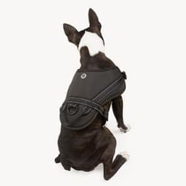 One Paw, Heavy Duty Dog Harness with Reflective Stitching, Multiple sizes, One Paw Heavy Duty Dog Harness