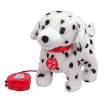 pitter patter pets walk along dalmatian