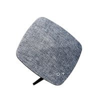 survivor waterproof speaker