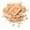 830 Light/Medium, variant on Revlon Colorstay™ Pressed Powder, 0.3 oz