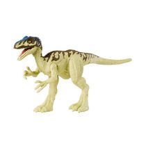 jurassic coelurus