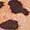 Leopard, variant on Time and Tru Women's Ballet Flats, Wide Width Sizes 6-10