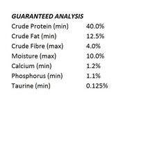 special kitty kitten