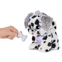 present pets dalmatian