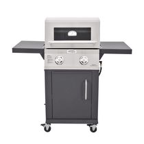 Cuisinart Two Burner Dual Fuel Gas Grill
