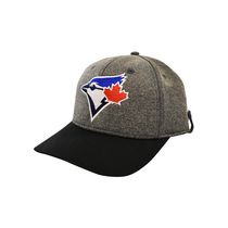 Toronto Blue Jays Logo Hat and Mask
