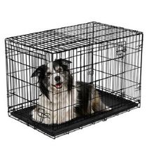 Cage pliante en métal avec 2 portes pour chien Taille L 36 x 23 x 25 Inches 