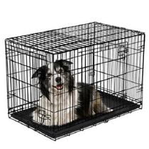 Vibrant Life Double-Door Metal Wire Dog Crate with Divider