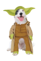 Costume de Yoda