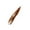 Light Brown, variant on Maybelline New York Tattoo Brow™, Peel Off Eyebrow Tint, Tattoo Brow Peel Off Tint