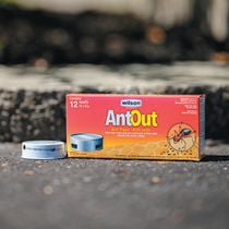 Wilson® AntOut® Ant Traps | Walmart Canada