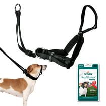 sporn head control halter