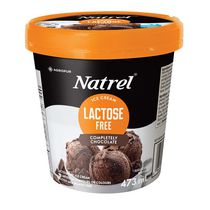 Natrel Completely Chocolate Lactose Free Ice Cream