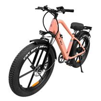 electric bicycle walmart canada