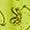 Green, variant on The Grinch Men's Pajama Pant