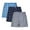 BLEU, variant on U.S. POLO ASSN. Men's Underwear 3 Pack Woven Boxers