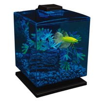 GloFish Betta Aquarium Kit Perfect Starter Tank | Walmart Canada