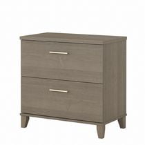 Classeur latéral à 2 tiroirs Somerset de Bush Furniture, gris cendré