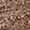 Brown, variant on George Women's V-Neck Pocket T-Shirt