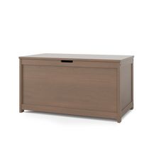 Harmony™ Toy Chest in Dusty Heather by Forever Eclectic™