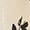 Cream, variant on Lane Bryant Women's Plus 3/4 Sleeve Blouse